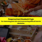Paapmochani EKadashi Puja & Yajna: For Cleansing Past Sins and Overcoming Difficult Karmic Obstacles