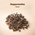 Nagarmotha Root - Jad