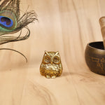 Pura Brass Vastu Owl - Abhimantrit