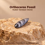 Orthoceras Fossil – Kuber Vardaan Stone
