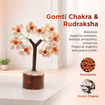 Gomti Chakra & Rudraksh Tree - Abhimantrit