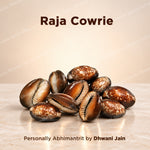 Raja Cowrie
