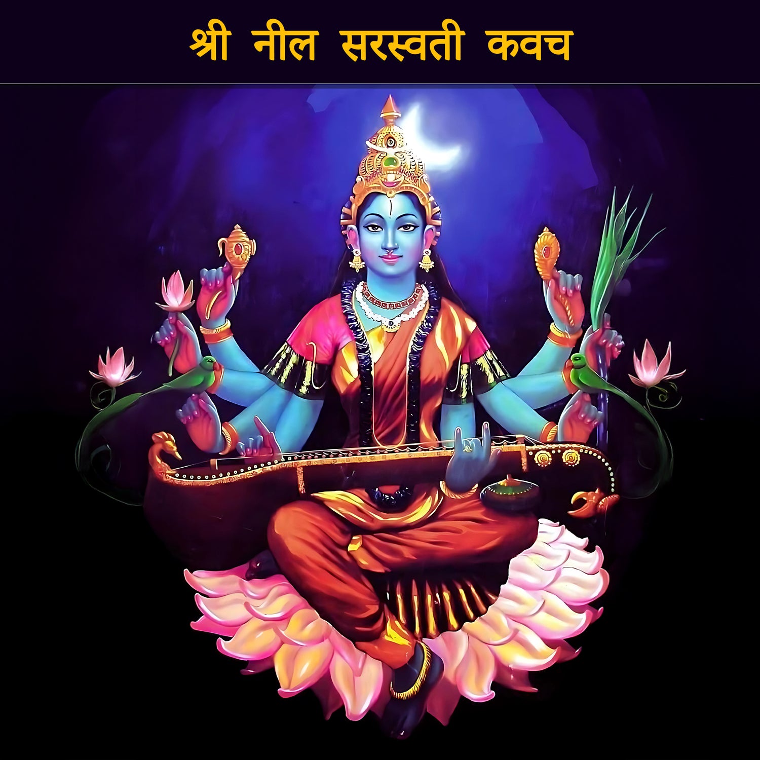 Neel Saraswati Kavach