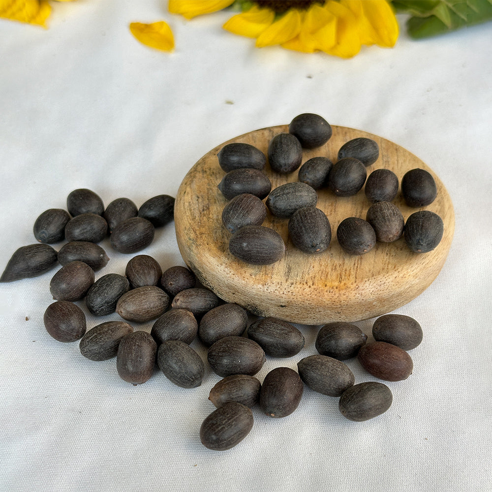 Kamal Gata Seed (Lotus Seed) - Abhimantrit