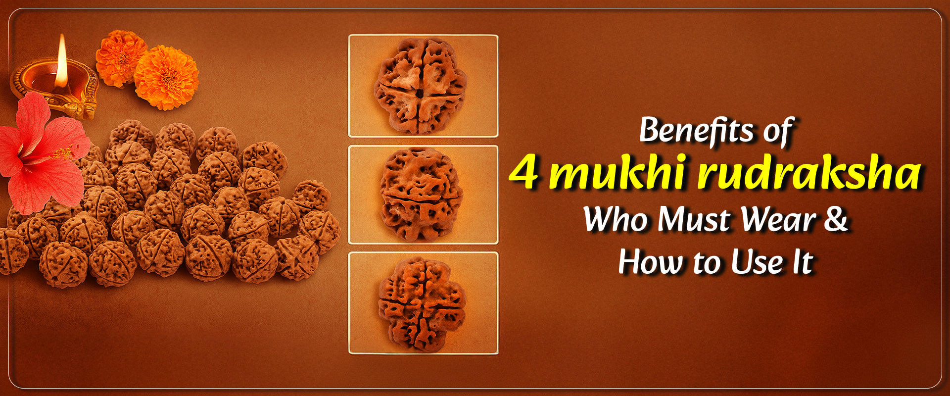 Benefits of 4 Mukhi Rudraksha: Who Must Wear & How to Use It    
