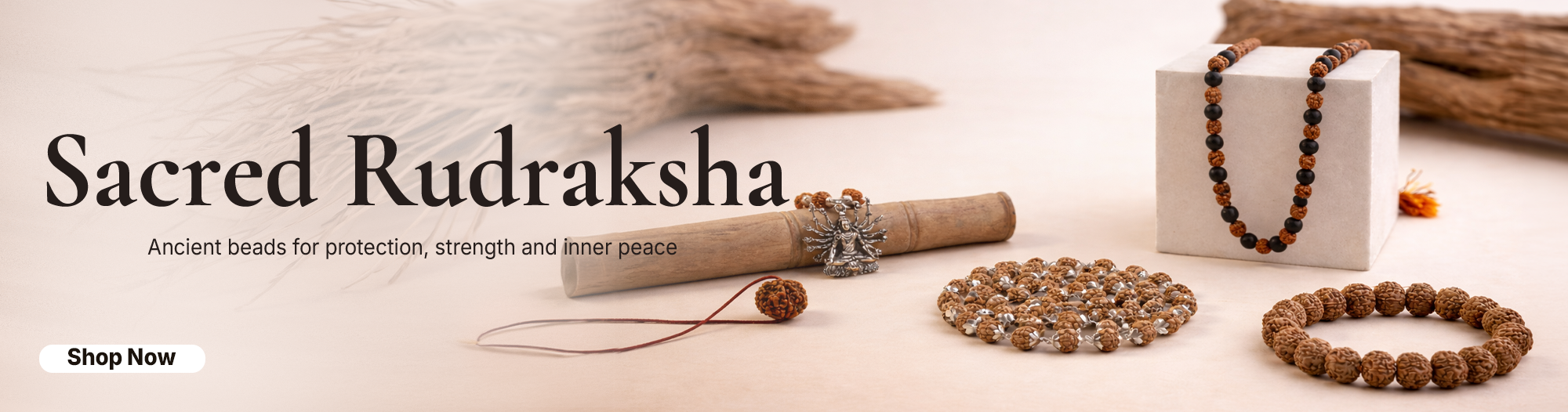 All Rudraksha