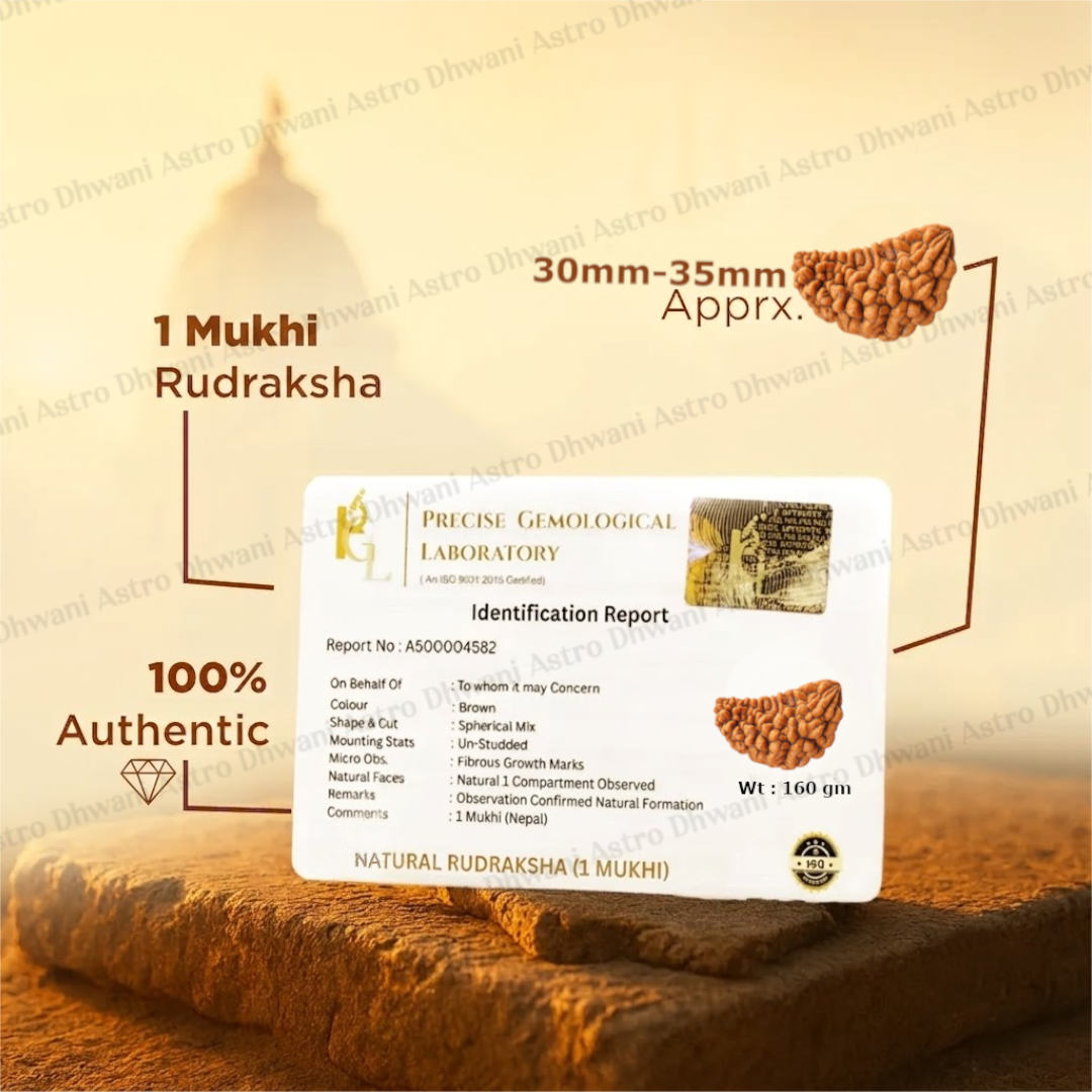 Nepali 1 Mukhi Rudraksha (One Faced) for Spiritual Awakening & Inner Peace