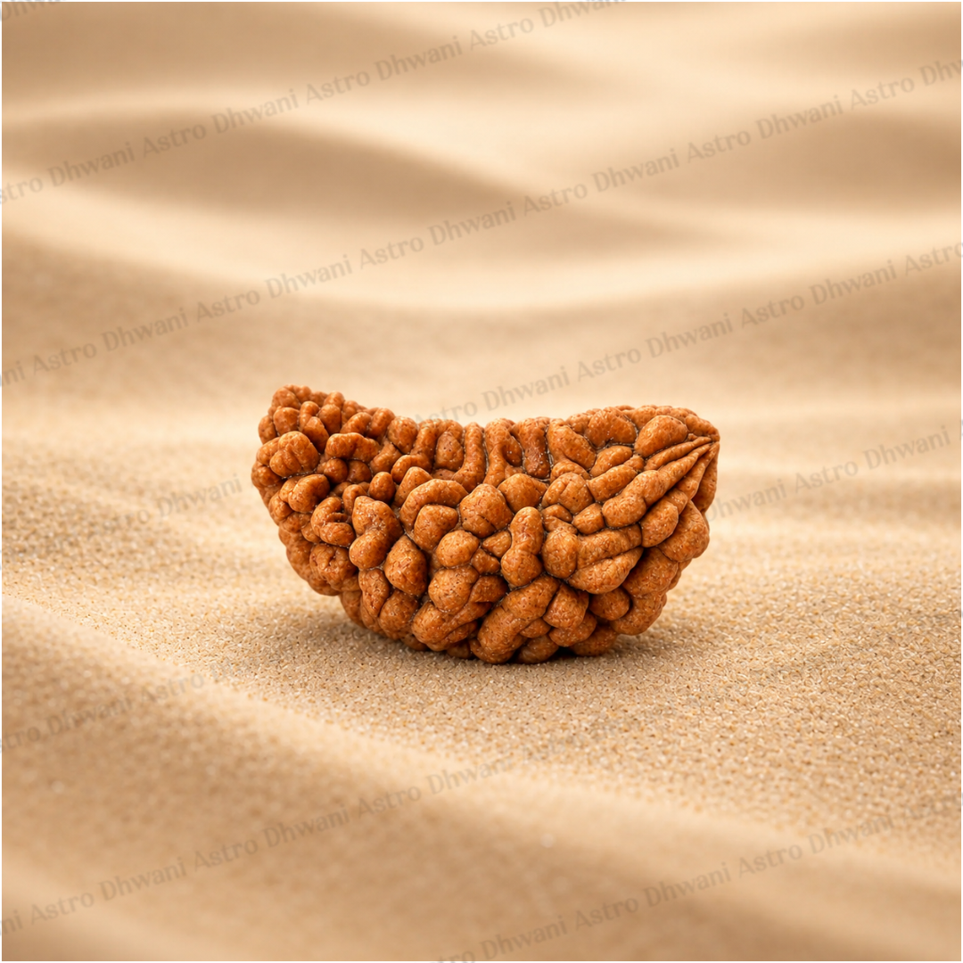 Nepali 1 Mukhi Rudraksha (One Faced) for Spiritual Awakening & Inner Peace
