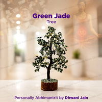 Green Jade Tree : Promotes Wealth Attraction & Money Growth