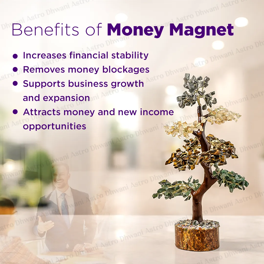 Money Magnet Tree – Wealth Attraction, Income Growth & Prosperity