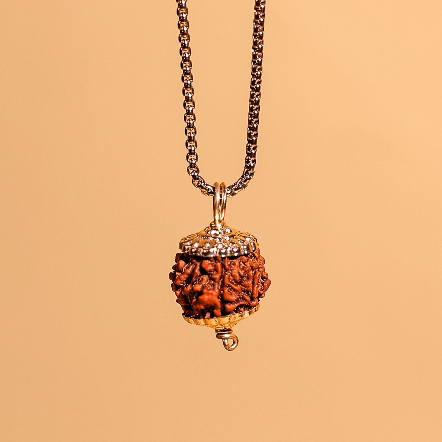 Nepali 6 Mukhi Rudraksha ( Six Faced) - Abhimantrit & Certified