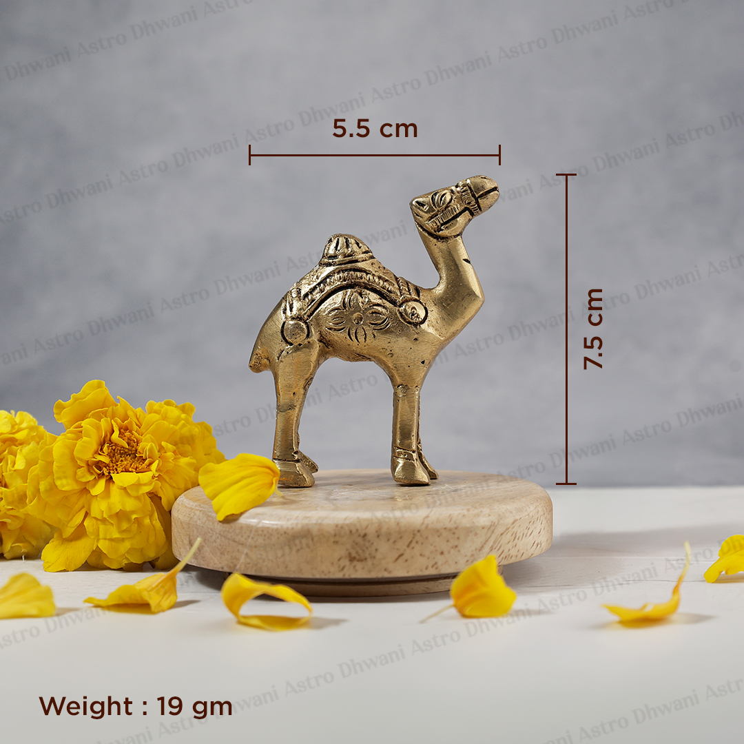 Brass Camel Statue for Home Decor, Vastu & Prosperity