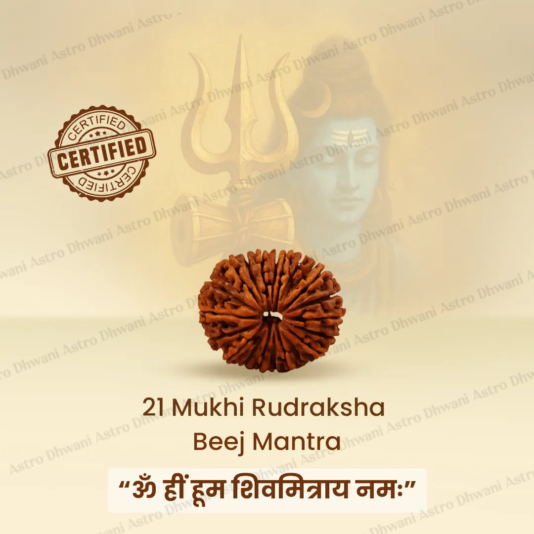 Nepali 21 Mukhi Rudraksha (Twenty-One Faced) for Wealth, Prosperity & Business Success