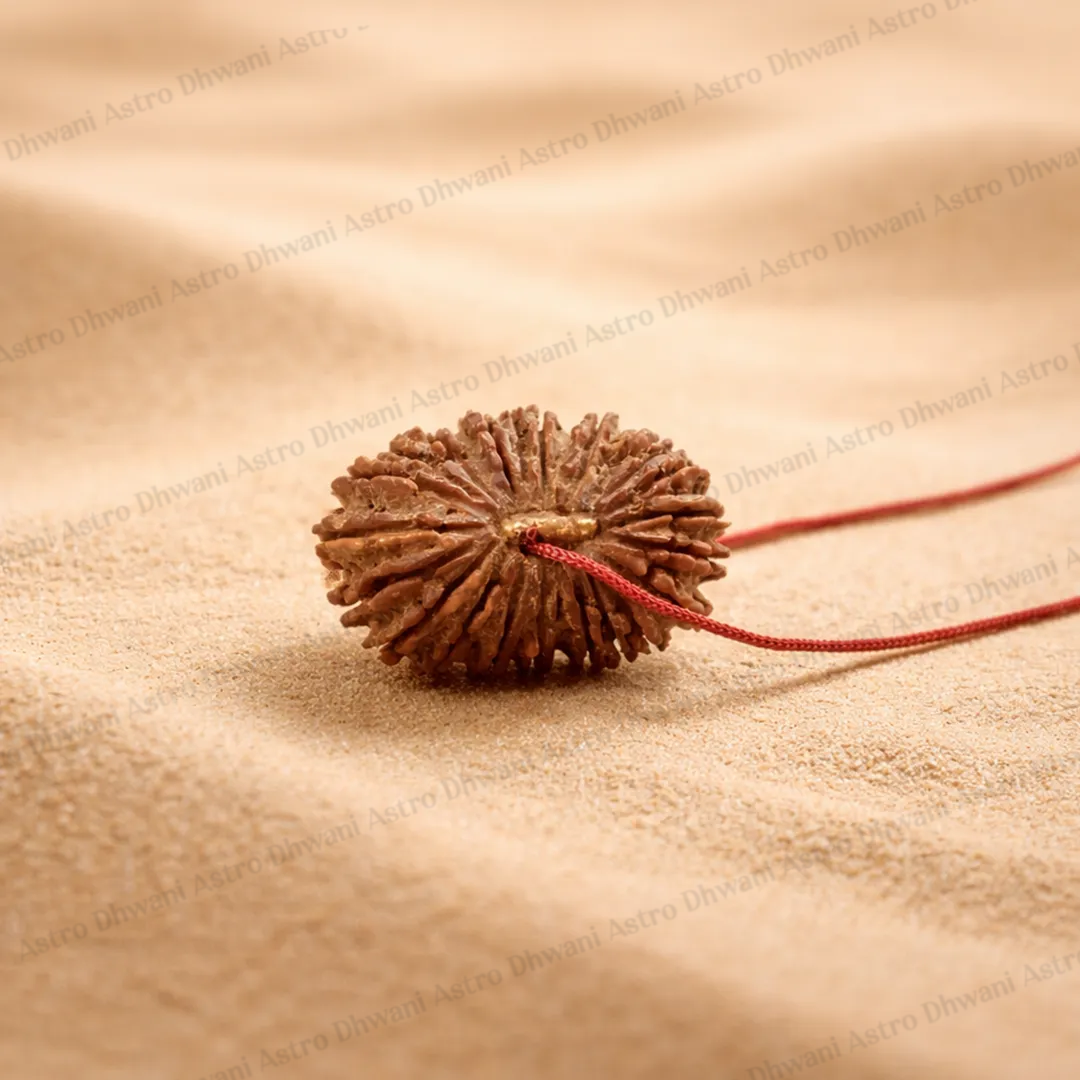 Nepali 22 Mukhi Rudraksha (Twenty-Two Faced) for Wealth, Luxury & Business Growth
