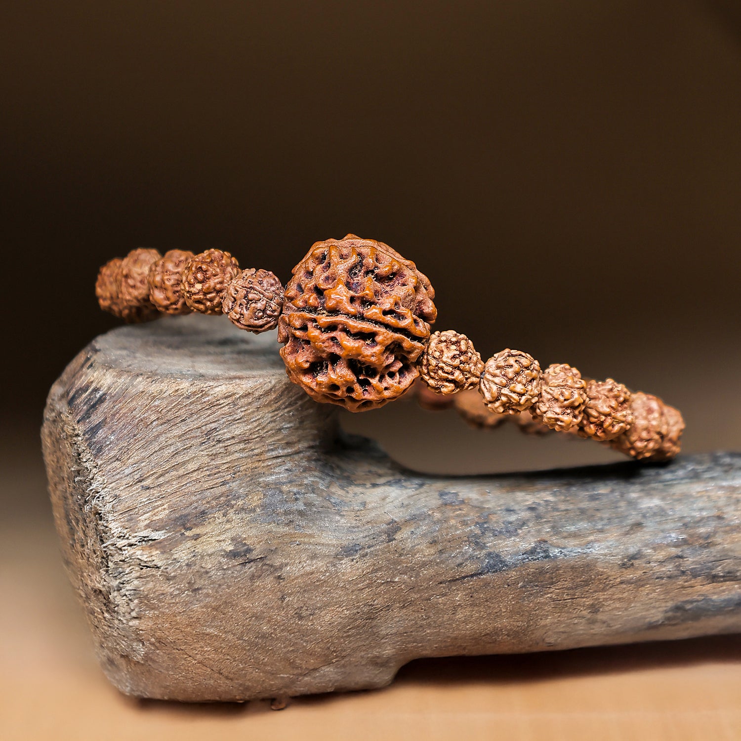 5 Mukhi Rudraksha Bracelet (Five Faced) - Abhimantrit & Certified