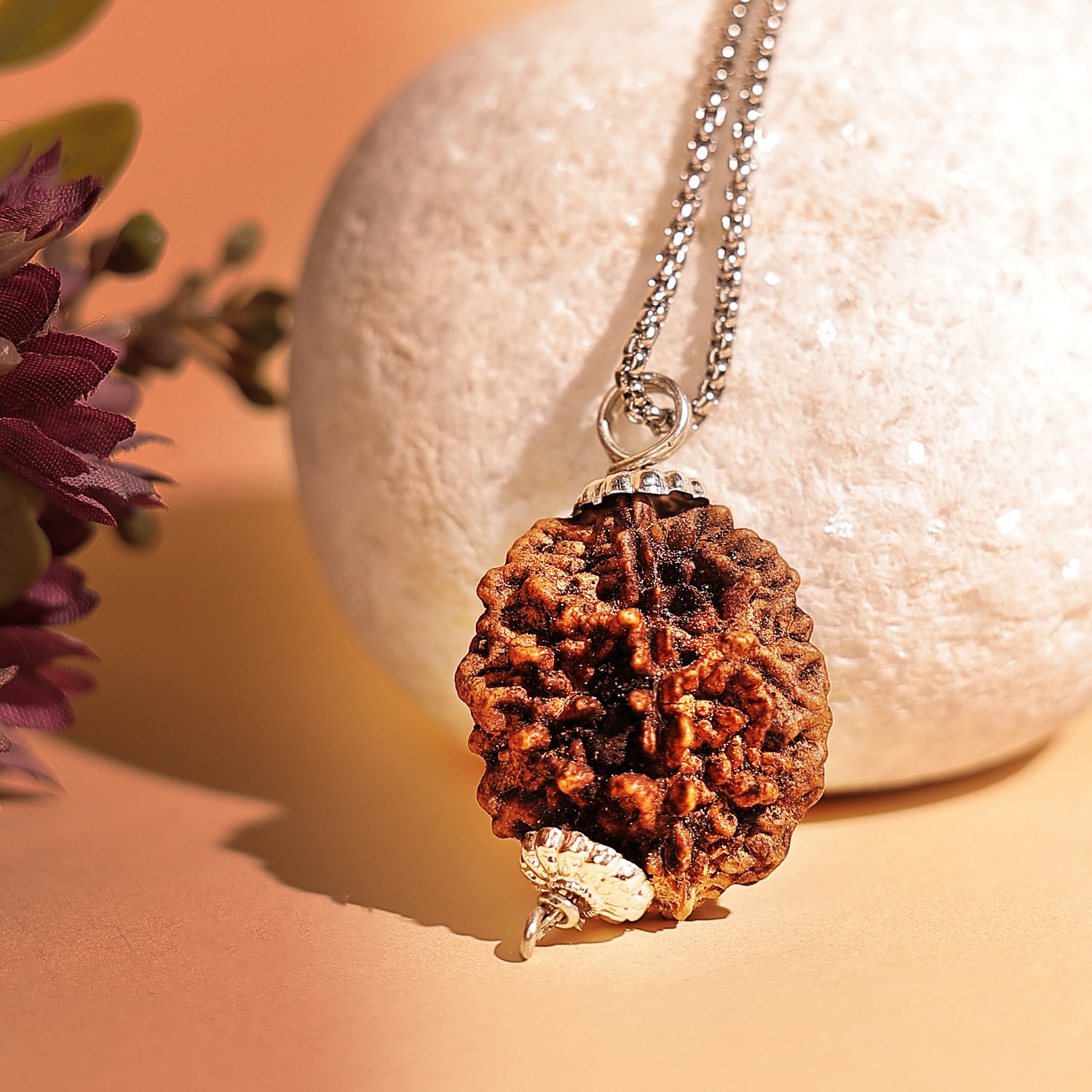 2 Mukhi Rudraksha ( Two Faced) - Abhimantrit & Certified