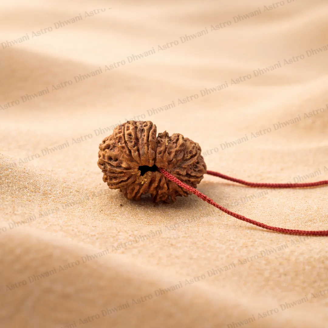 Nepali 19 Mukhi Rudraksha (Nineteen-Faced) for Wealth, Prosperity & Success