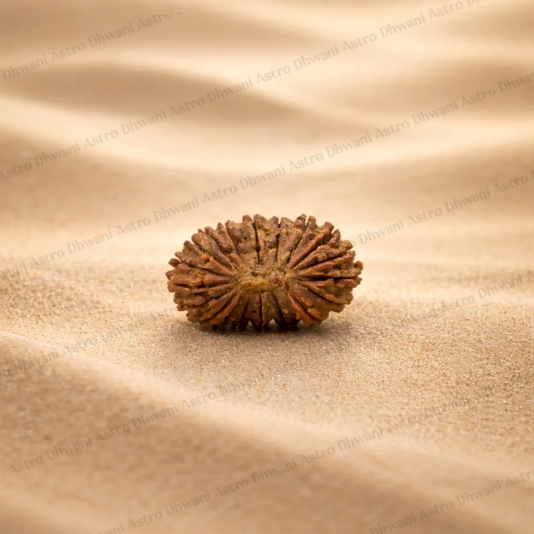 Nepali 24 Mukhi Rudraksha (Twenty-Fourth Faced) for Wisdom, Enlightenment & Spiritual Growth