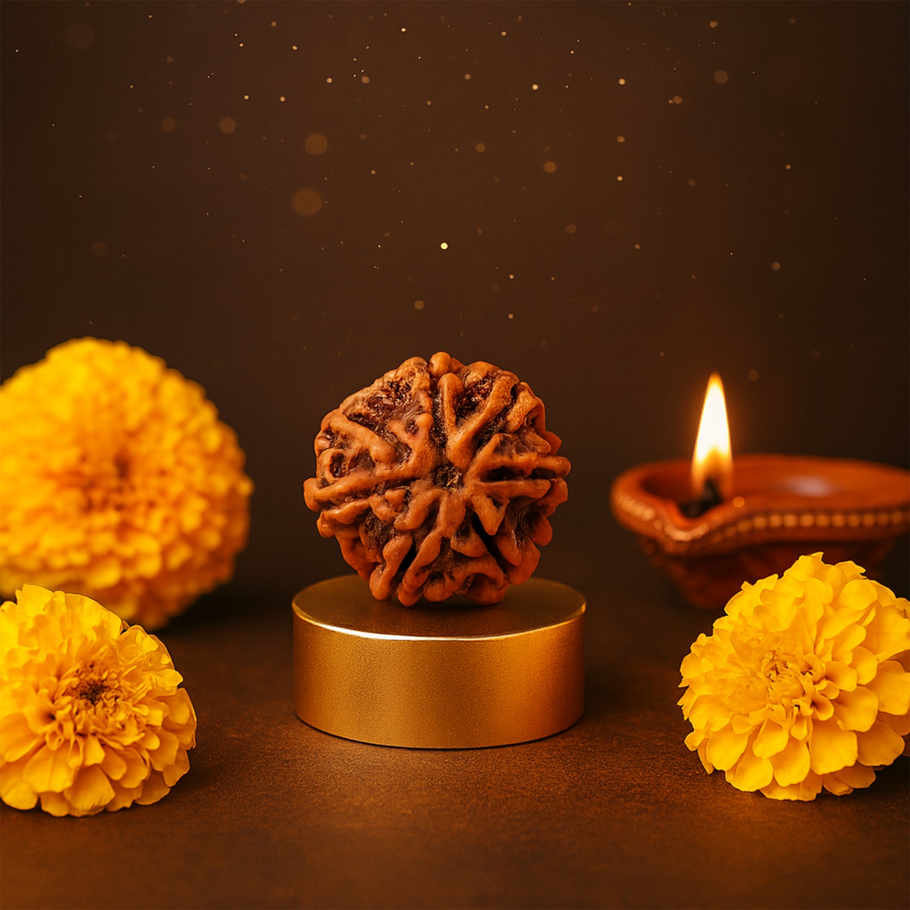 7 Mukhi Rudraksha7 Mukhi Rudraksha (Seven Faced) - Abhimantrit
