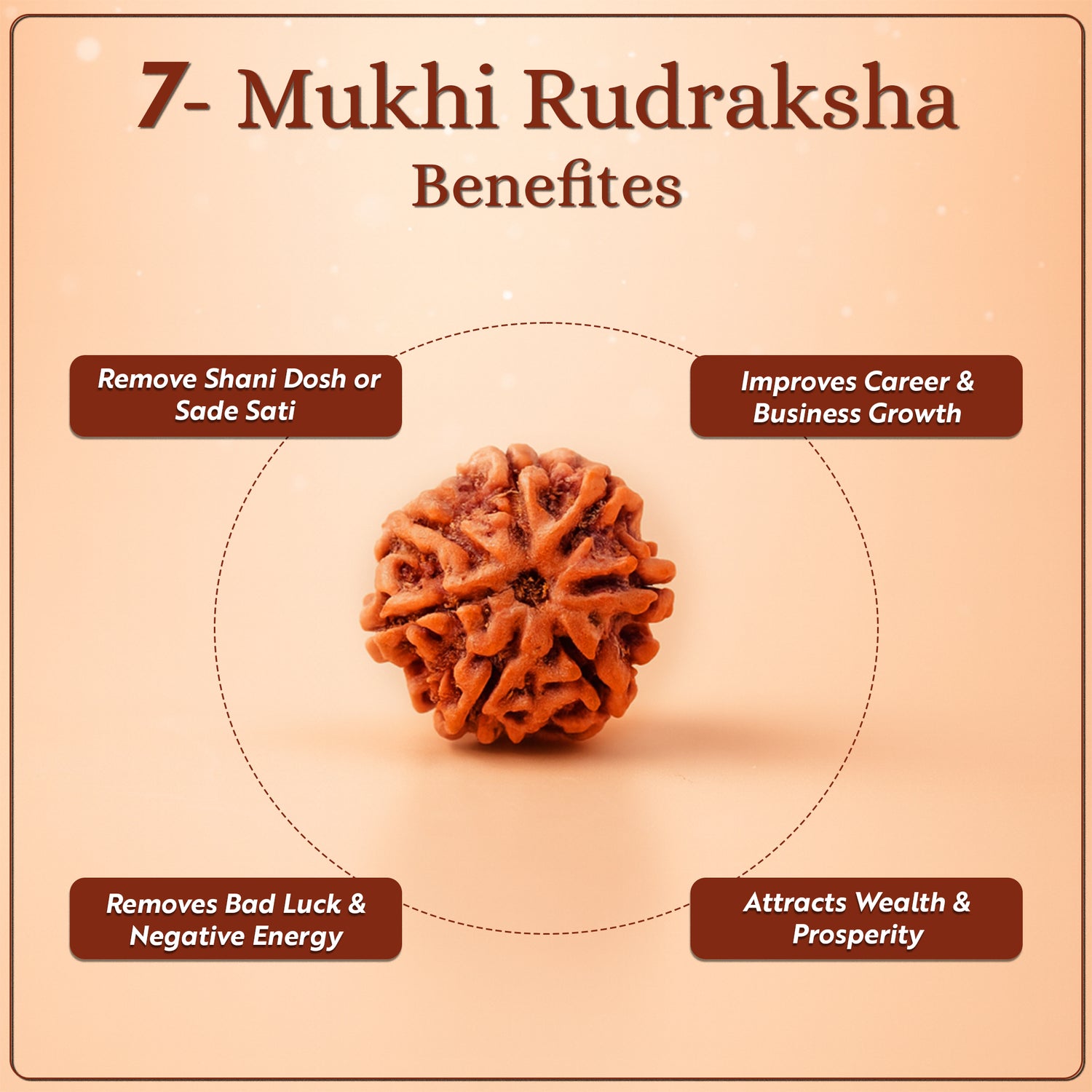 7 Mukhi Rudraksha
