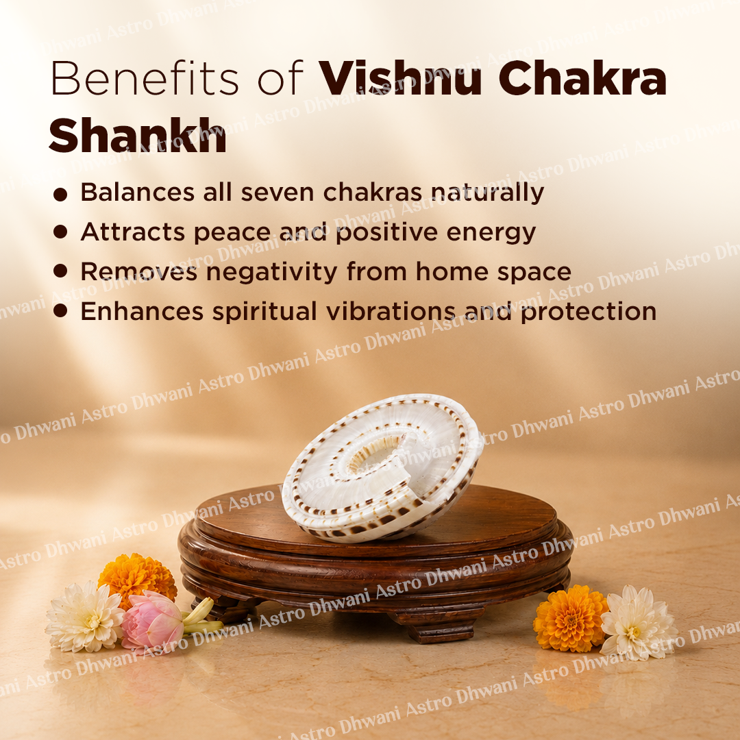 Vishnu Chakra Shankh for Energy Balance & Sacred Vastu Placement