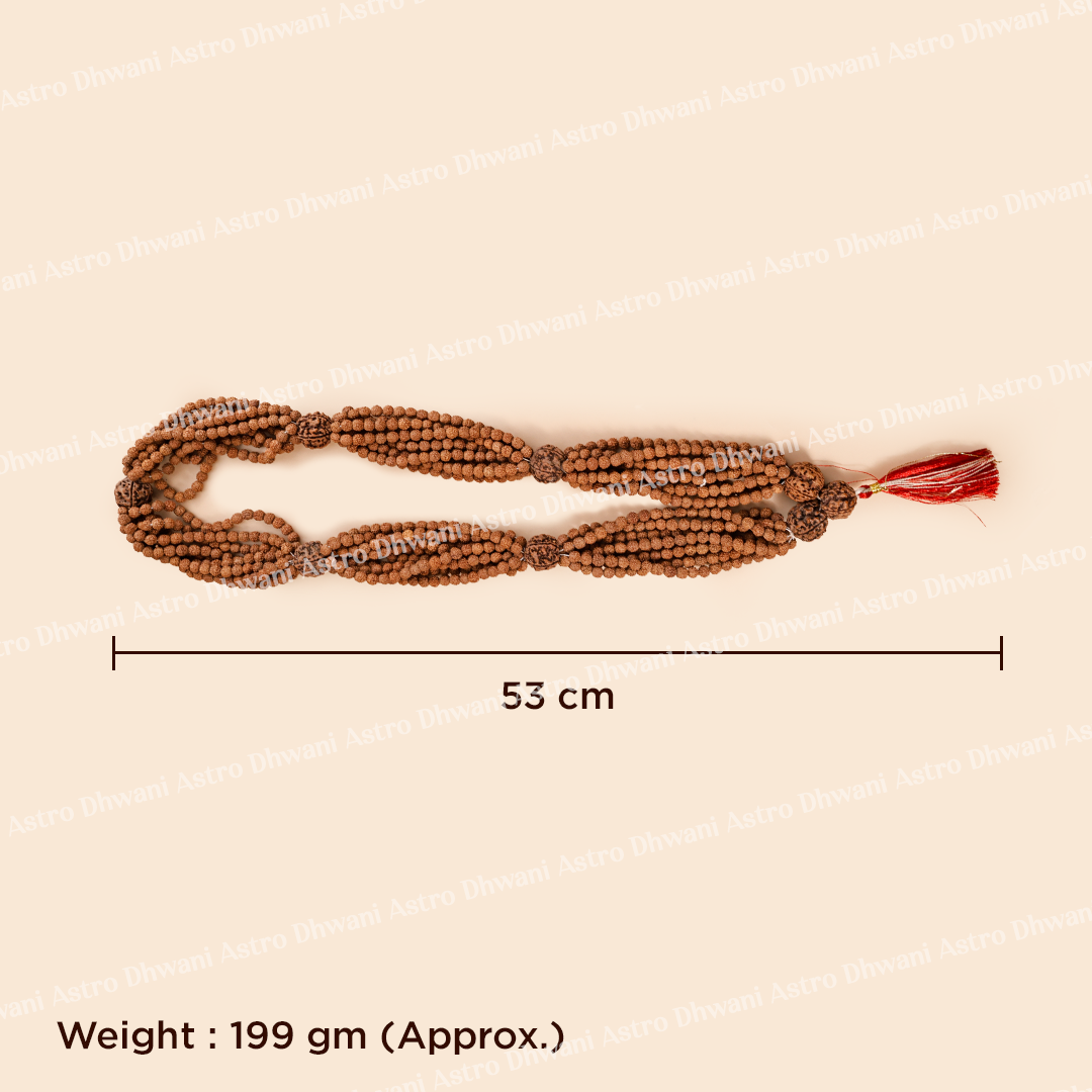 Beaded necklace with dimensions and weight on a beige background1008 Rudraksha Kantha Mala – Spiritual Meditation Beads for Focus & Protection