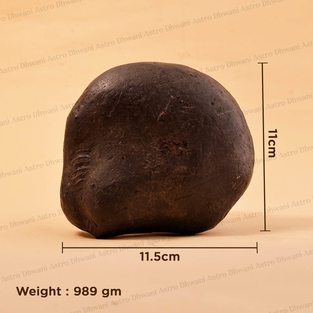 Natural Shaligram Shila | Sacred Shaligram Stone for Lord Vishnu Worship | Abhimantrit