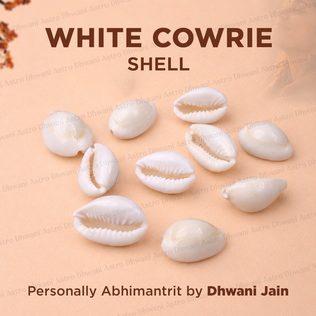 white cowrie shells arranged on a warm beige background with text reading 'WHITE COWRIE SHELL' 