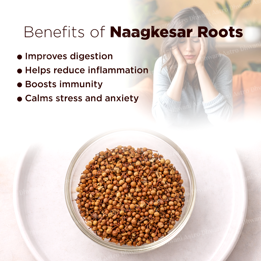 Naag Kesar Root - Abhimantrit