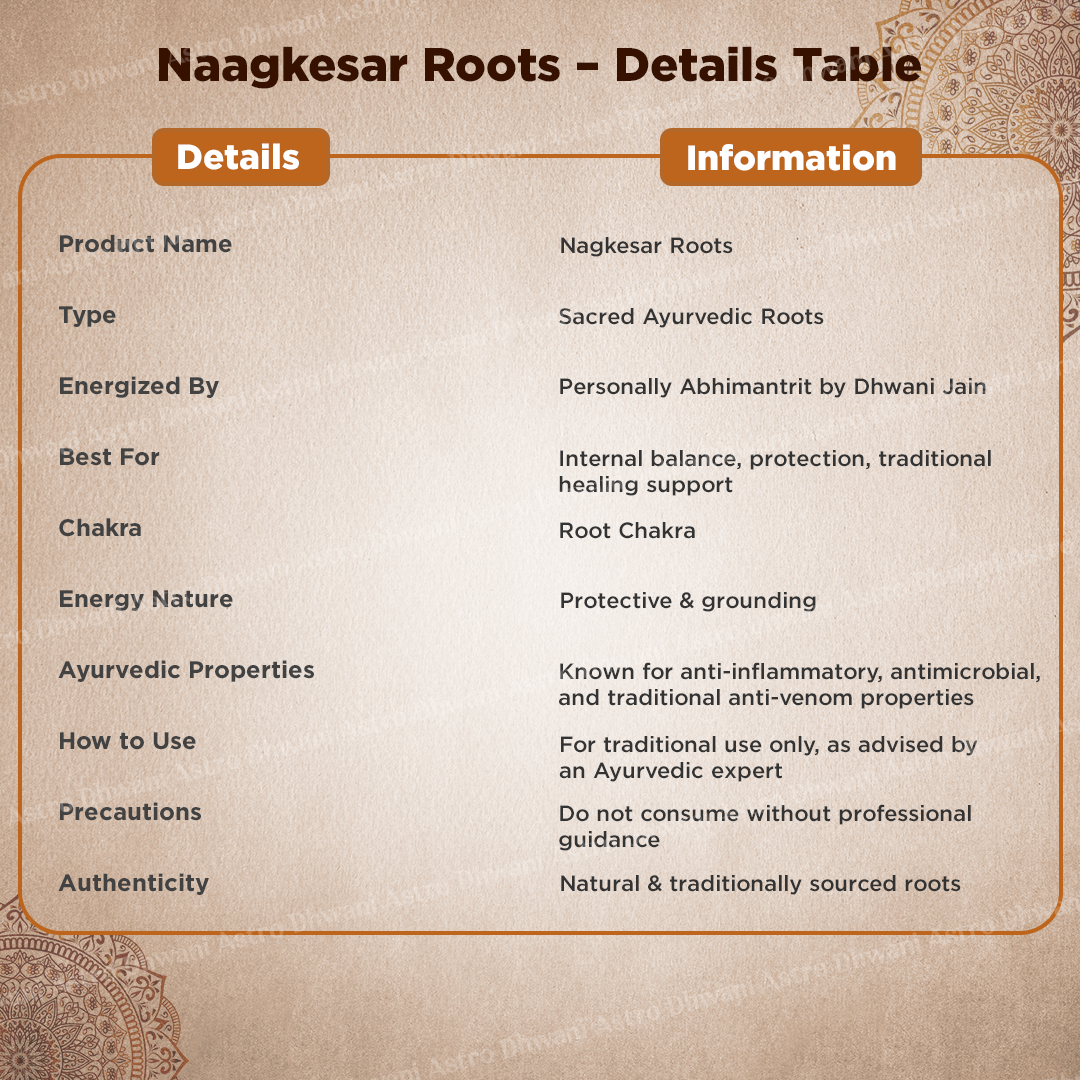 Naag Kesar Root - Abhimantrit