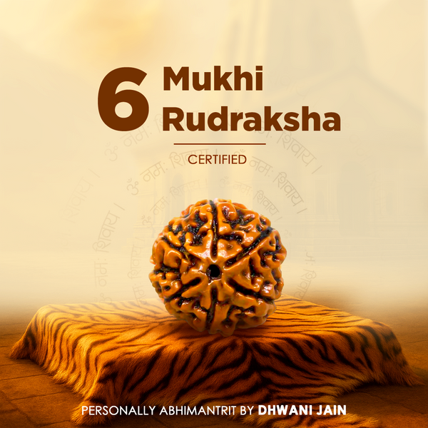 Nepali 6 Mukhi Rudraksha (Six Faced) for Confidence, Control & Success