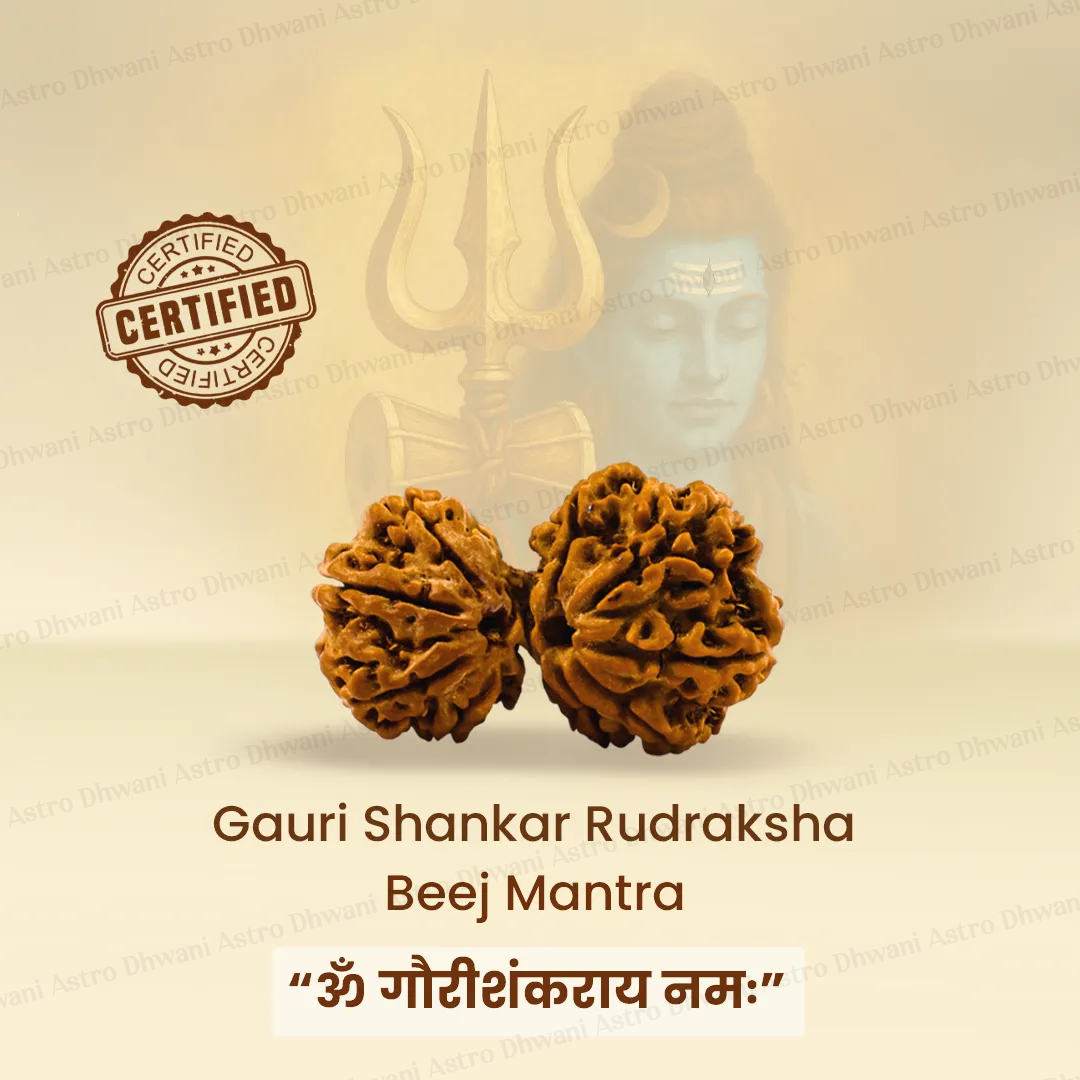 Gauri Shankar Rudraksha for Love, Harmony & Spiritual Growth