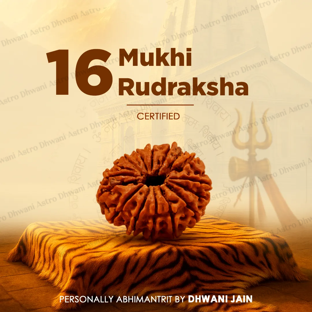Nepali 16 Mukhi Rudraksha (Sixteen-Faced) for Protection, Victory & Fearlessness