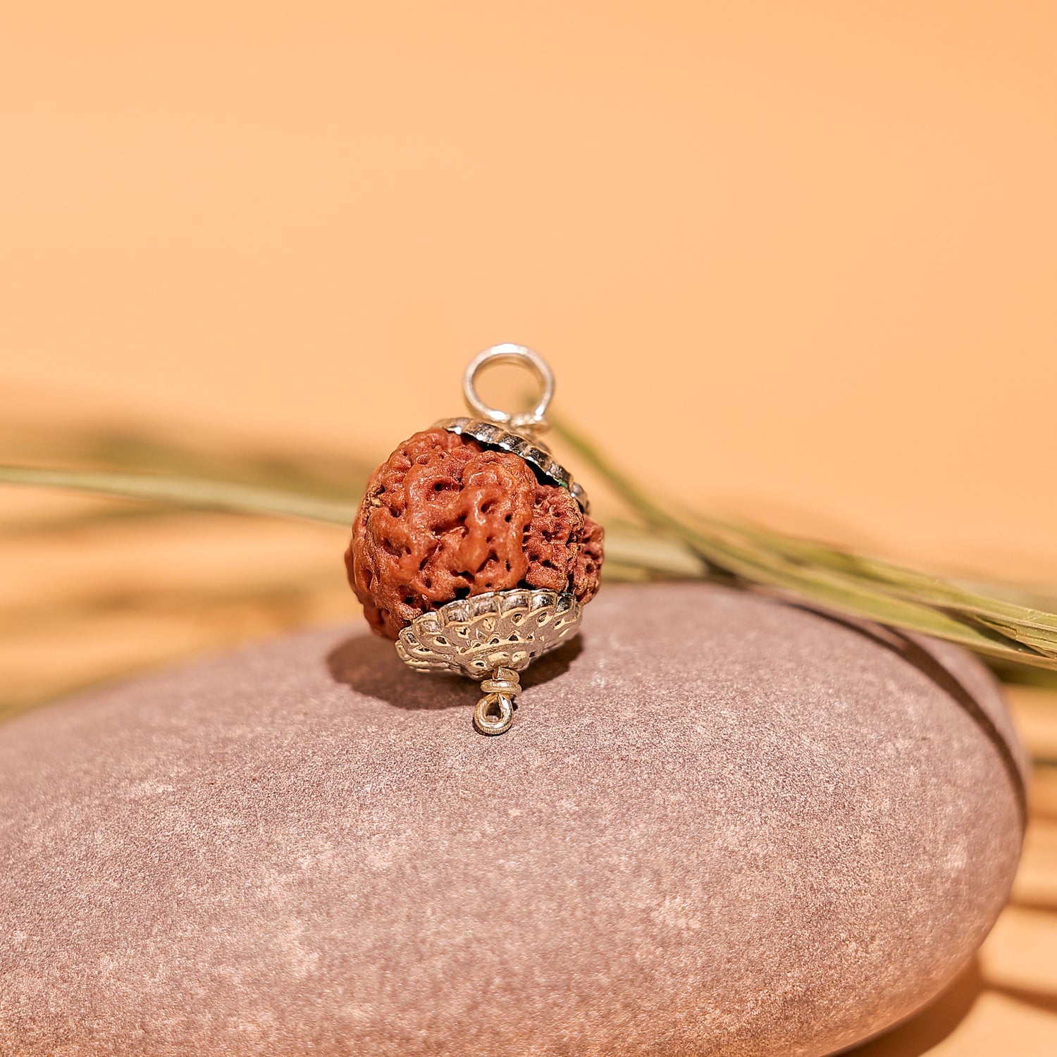 Nepali 7 Mukhi Rudraksha ( Seven Faced) - Abhimantrit & Certified