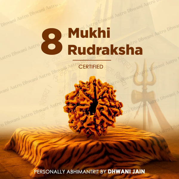 Nepali 8 Mukhi Rudraksha (Eight Faced) for Success, Clarity & Obstacle Removal
