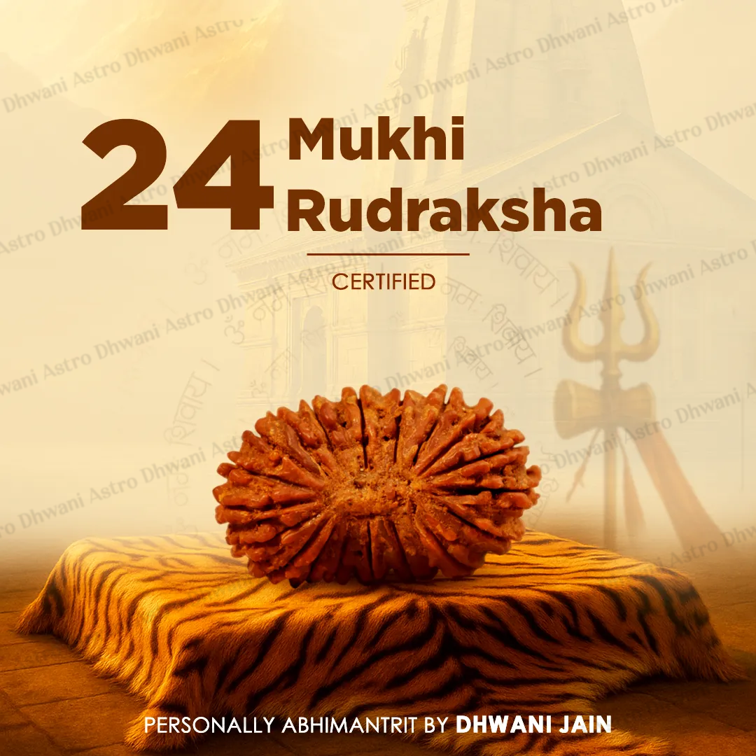 Nepali 24 Mukhi Rudraksha (Twenty-Fourth Faced) for Wisdom, Enlightenment & Spiritual Growth