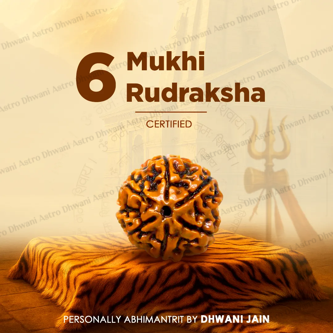 Nepali 6 Mukhi Rudraksha (Six Faced) for Confidence, Control & Success