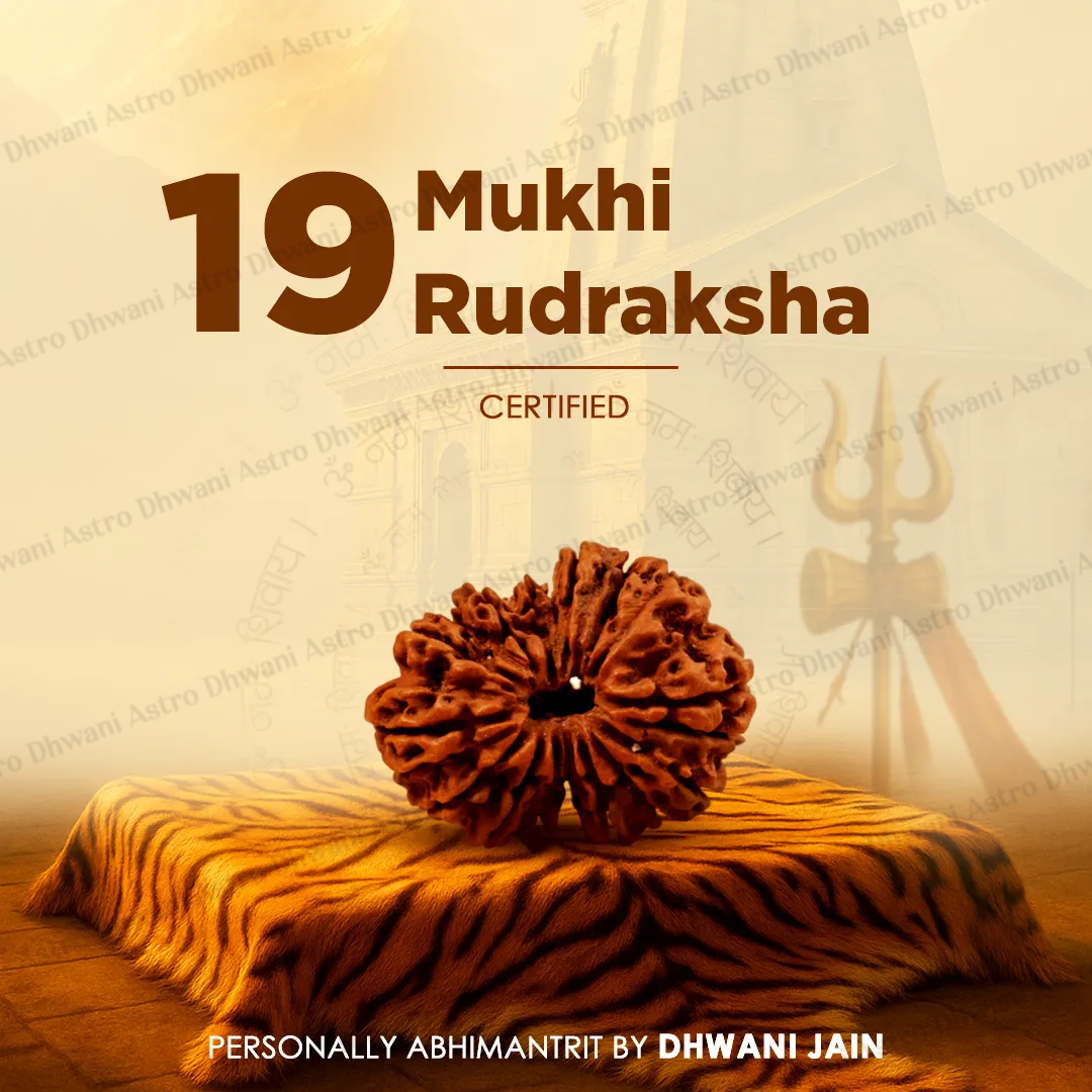 Nepali 19 Mukhi Rudraksha (Nineteen-Faced) for Wealth, Prosperity & Success