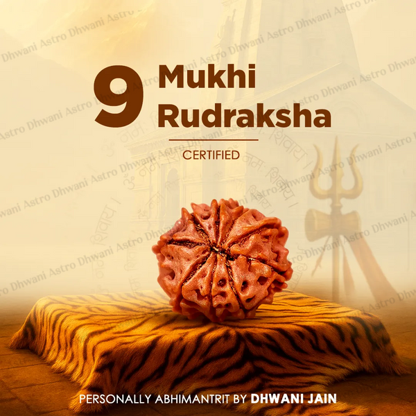 Nepali 9 Mukhi Rudraksha (Nine Faced) for Protection, Courage & Strength