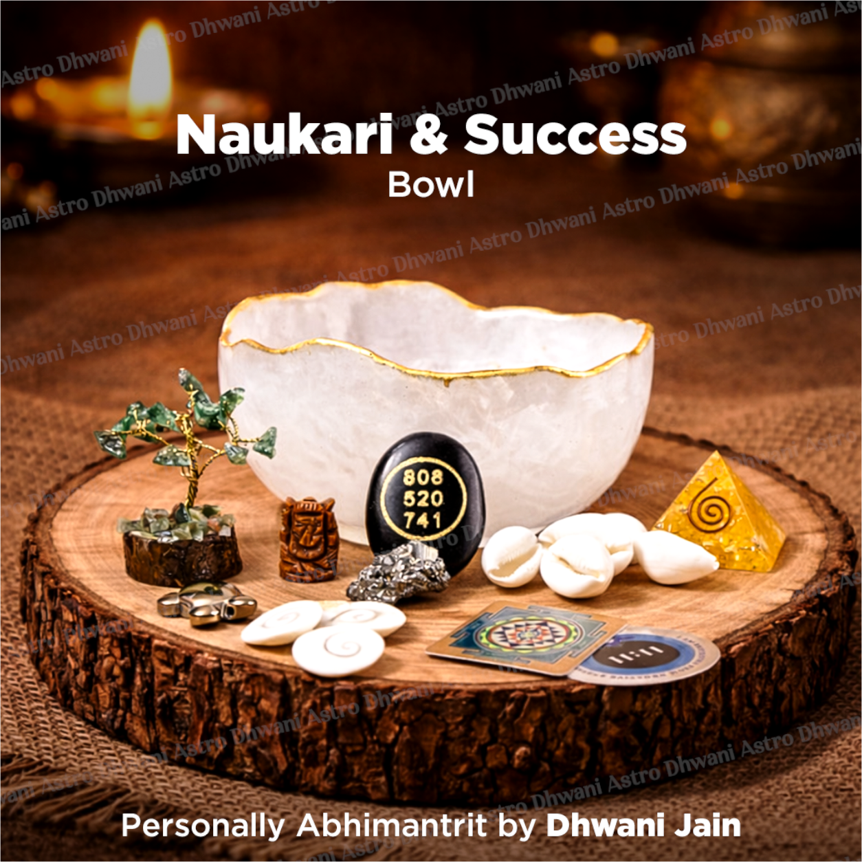 Naukari & Success Bowl - Career Growth & Job Opportunity Bowl