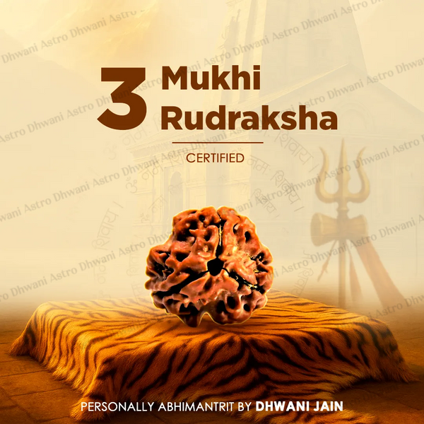 Nepali 3 Mukhi Rudraksha (Three Faced) for Confidence, Healing & New Beginnings