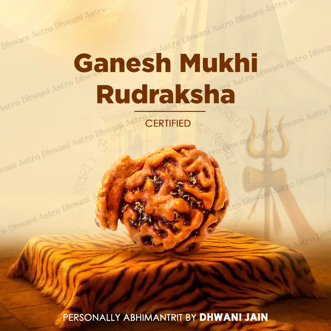 Ganesh Mukhi Rudraksha for Success, Wisdom & Obstacle Removal