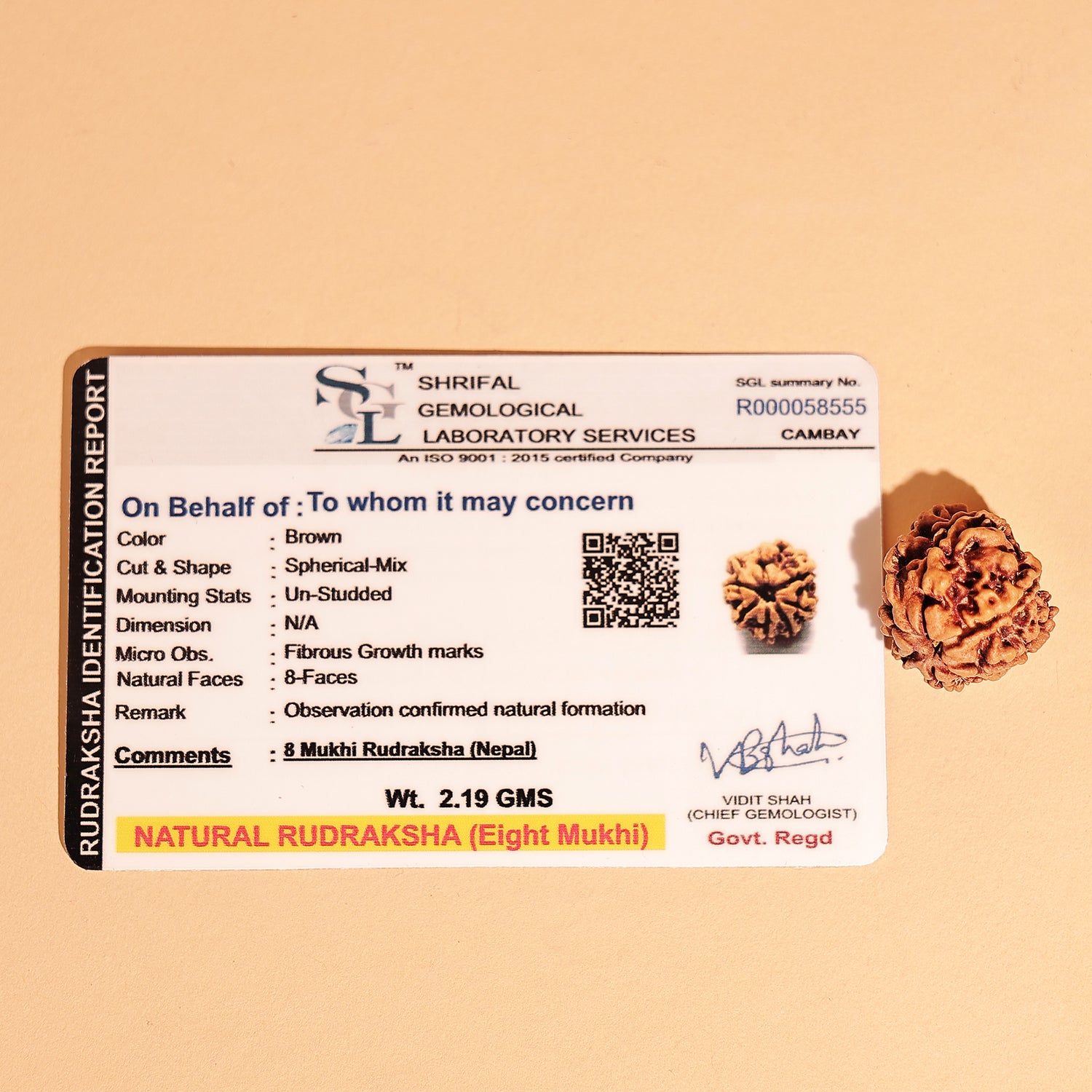 Nepali 8 Mukhi Rudraksha (Eight Faced) - Abhimantrit & Certified