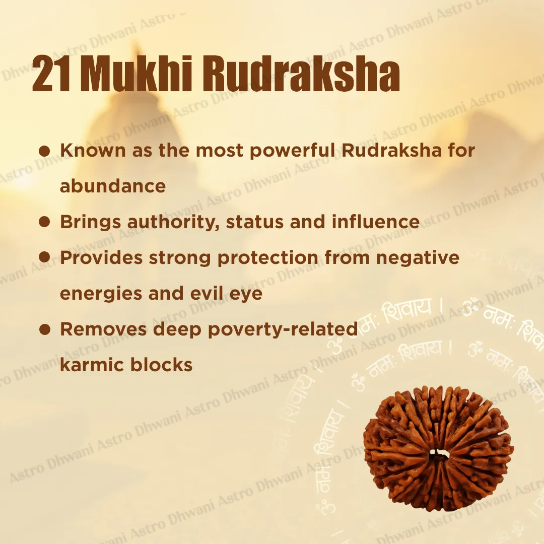 Nepali 21 Mukhi Rudraksha (Twenty-One Faced) for Wealth, Prosperity & Business Success