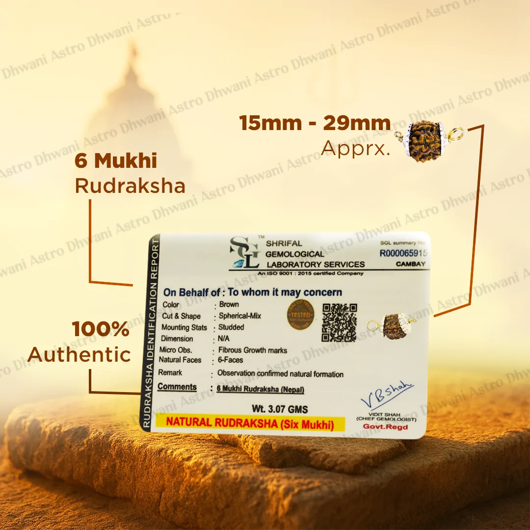 Nepali 6 Mukhi Rudraksha (Six Faced) for Confidence, Control & Success