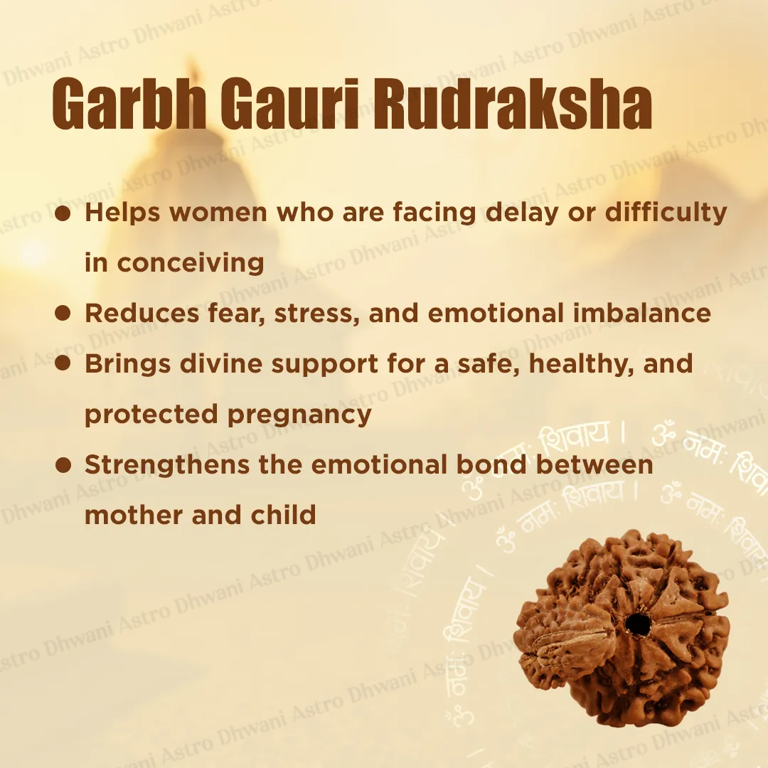 Garbh Gauri Rudraksha – Santan Sukh Protection & Divine Mother Energy