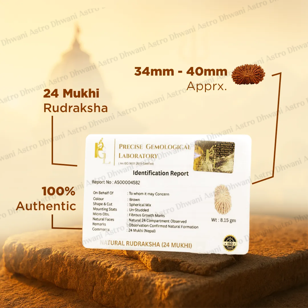 Nepali 24 Mukhi Rudraksha (Twenty-Fourth Faced) for Wisdom, Enlightenment & Spiritual Growth