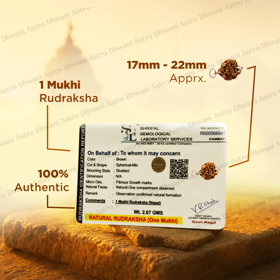 Nepali 1 Mukhi Rudraksha (One Faced) for Spiritual Awakening & Inner Peace
