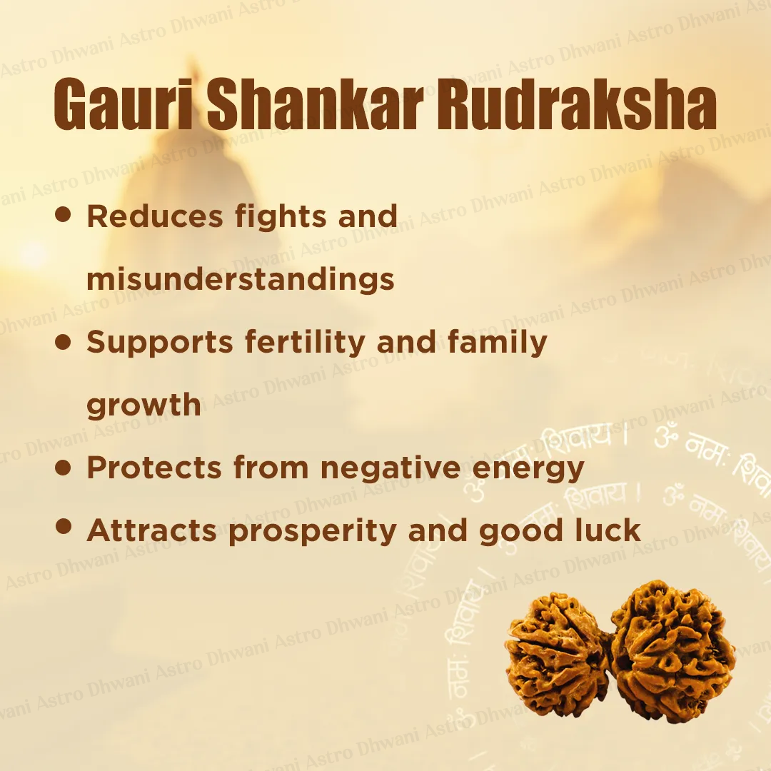 Gauri Shankar Rudraksha for Love, Harmony & Spiritual Growth
