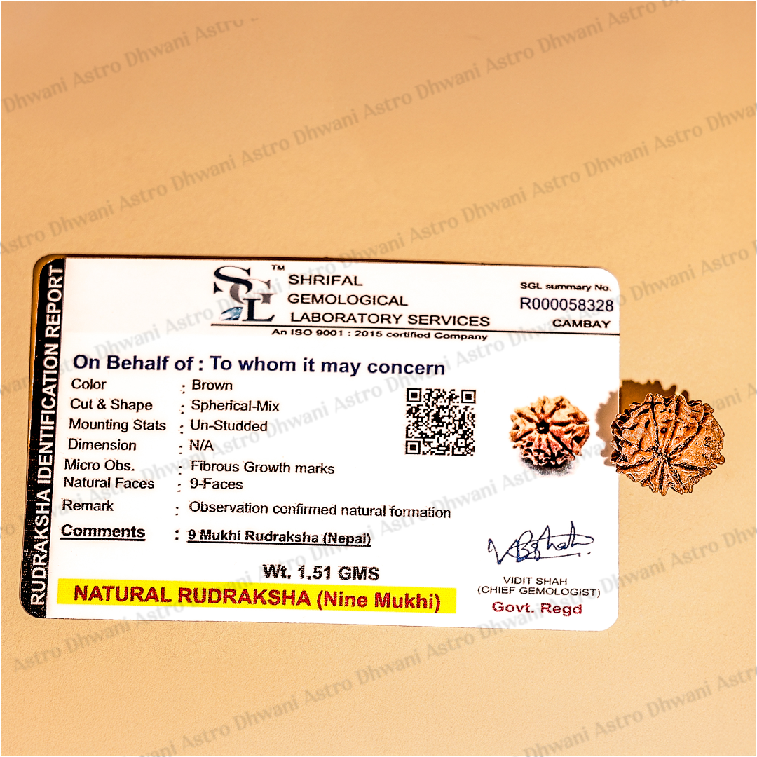 Nepali 9 Mukhi Rudraksha (Nine Faced) for Protection, Courage & Strength